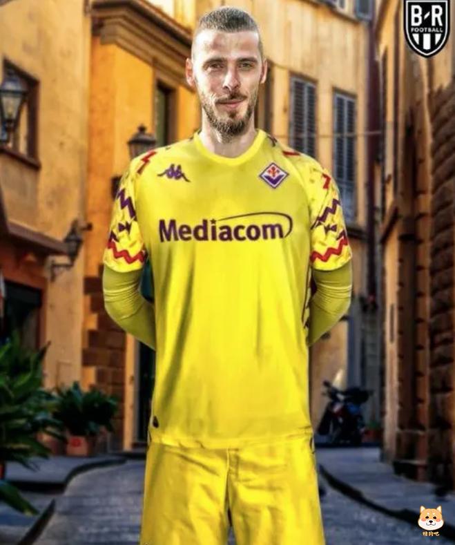 七大联赛最强门神!